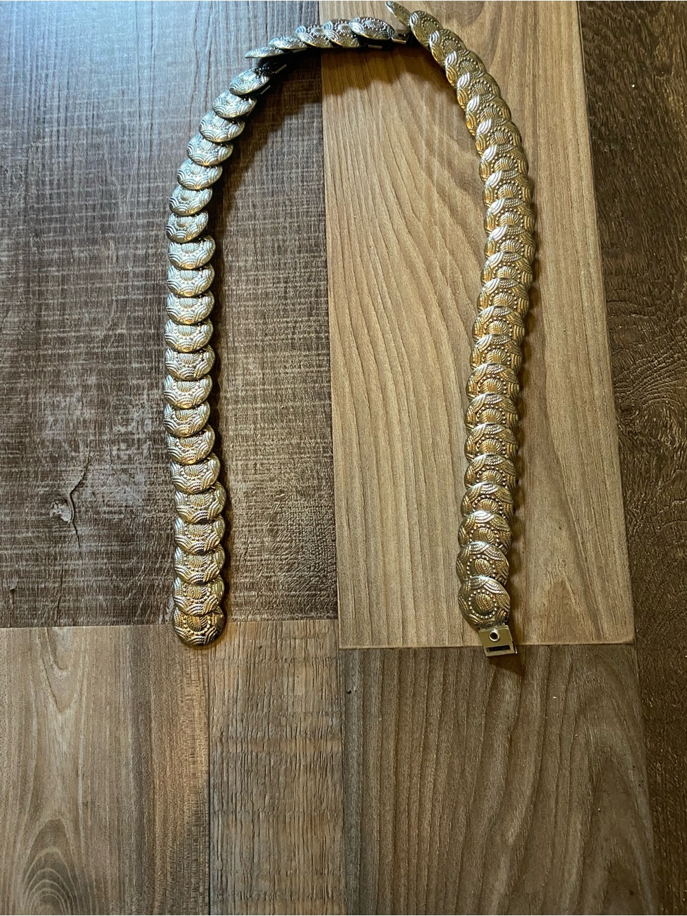 Source Unknown Silver Coin Stretch Belt